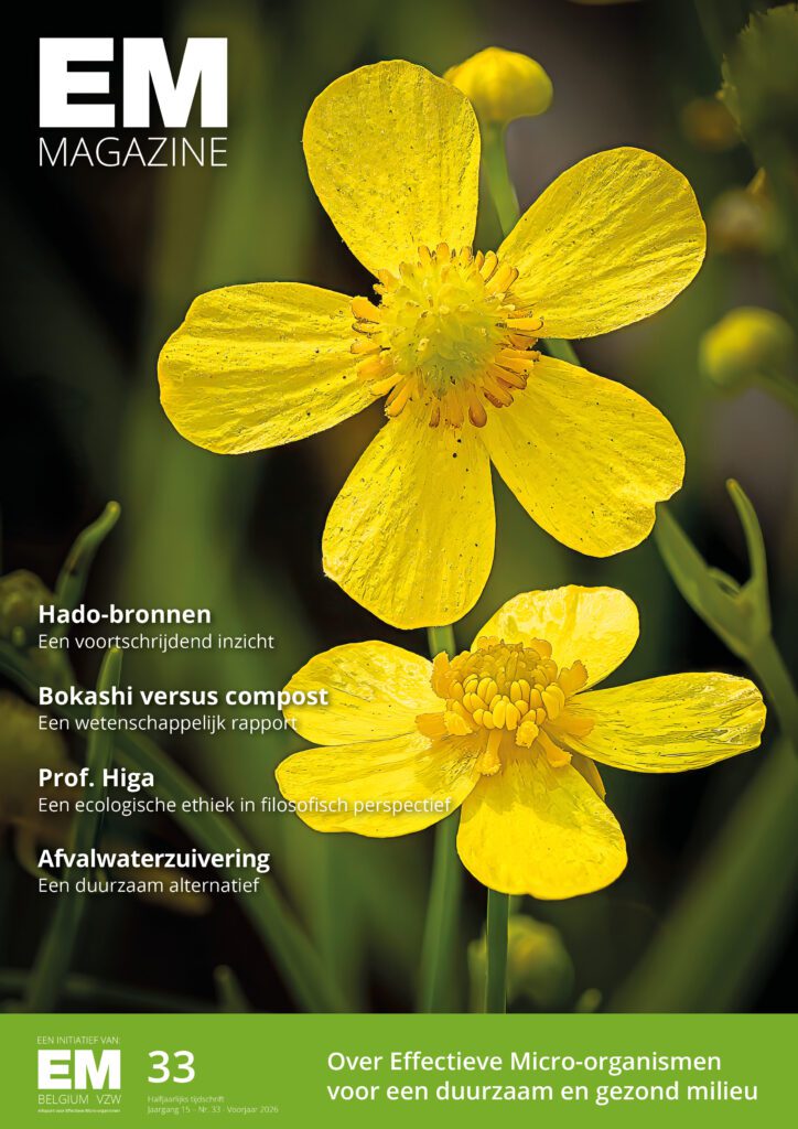 Magazine 33 Couverture 724x1024
