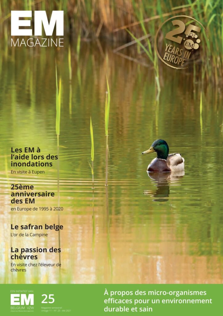 emmagazine 25 fr cover