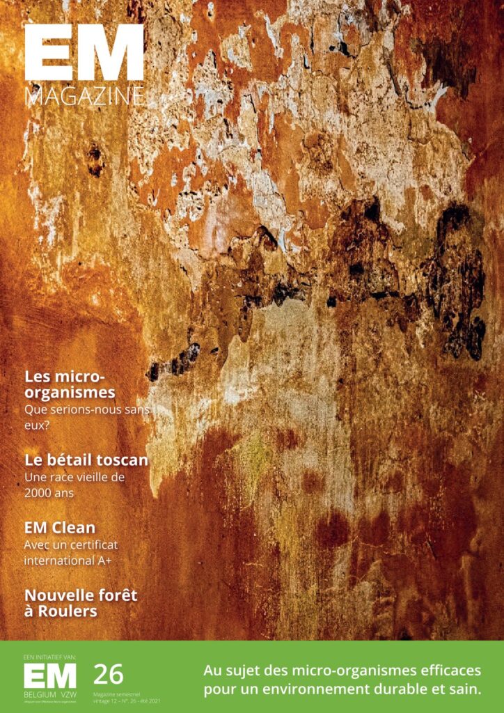 emmagazine 26 fr cover