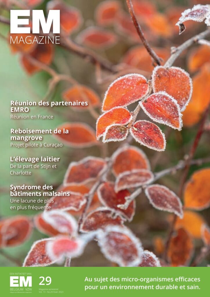 emmagazine 29 fr couverture