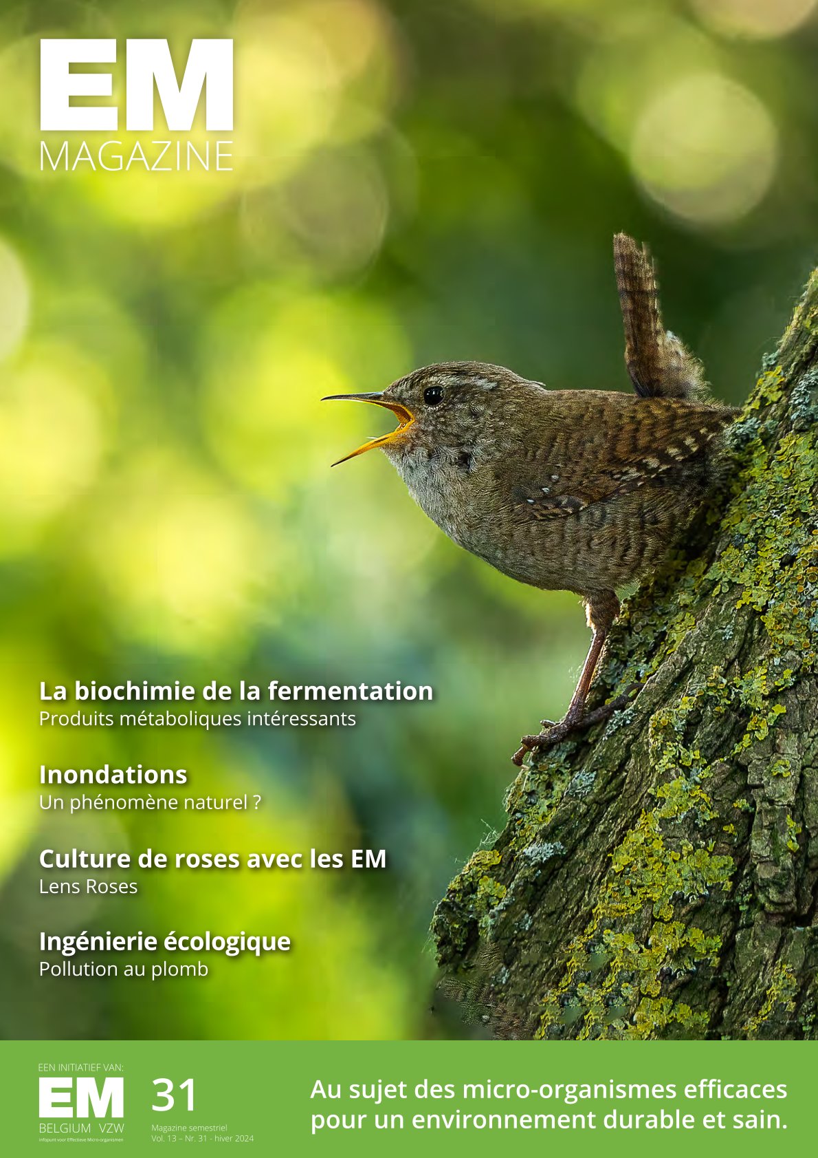 emmagazine 31 fr couverture