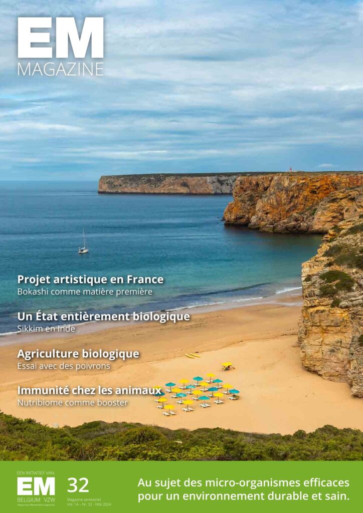 emmagazine 32 fr couverture