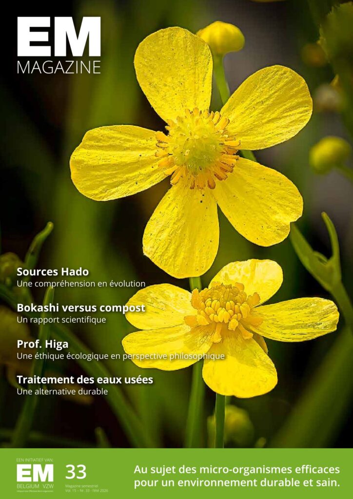 emmagazine 33 fr couverture