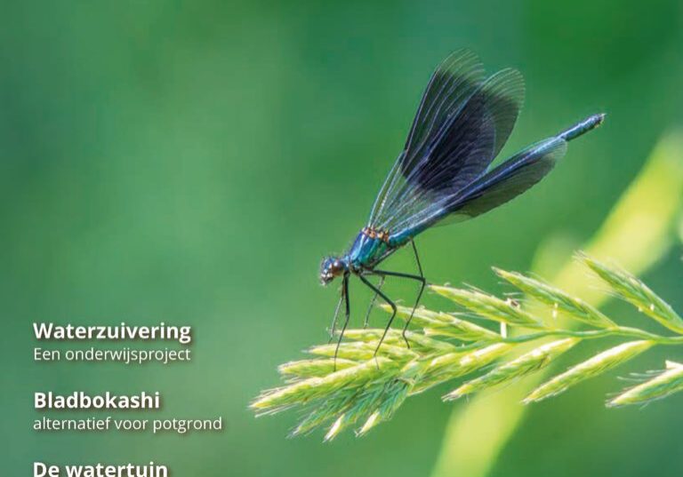 Cover 28